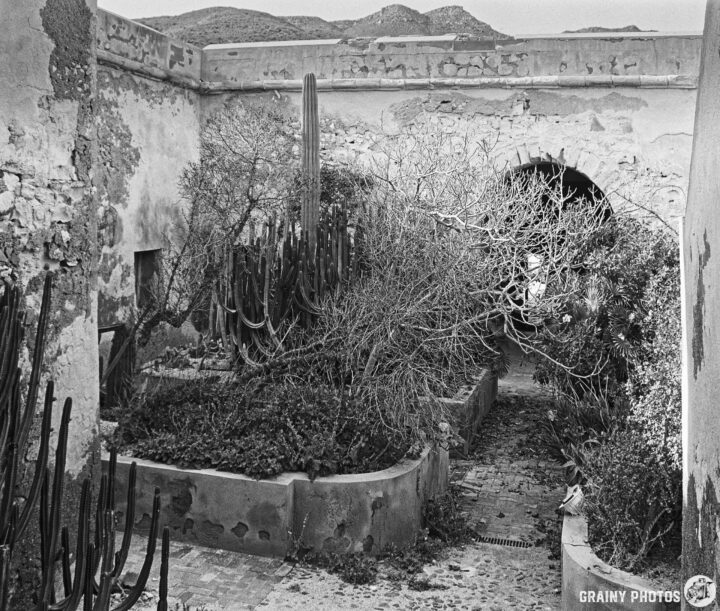 A black and white photograph of an overgrown courtyard inside Castillo de San Ramón featuring wild plants and cacti, surrounded by textured stone walls and a view of mountains in the background.